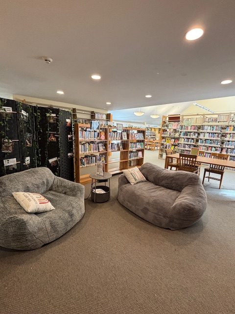 YA Couches Front View